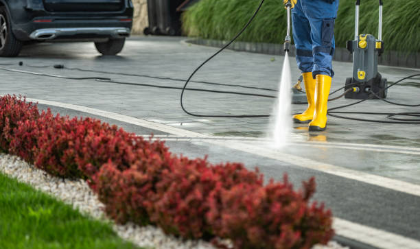 Solar Panel Cleaning in English Creek, NJ